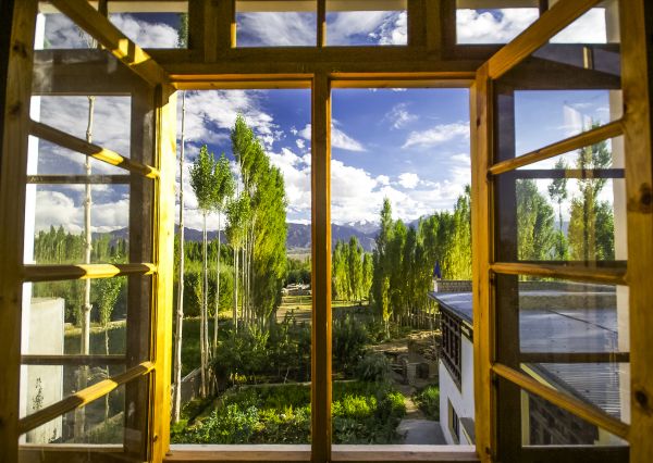 Cost of Wood Window Replacement in Brookfield